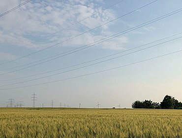 Strommast und Landwirtschaft