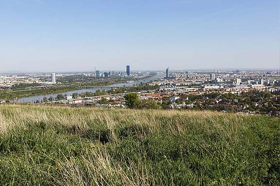 Blick auf Wien