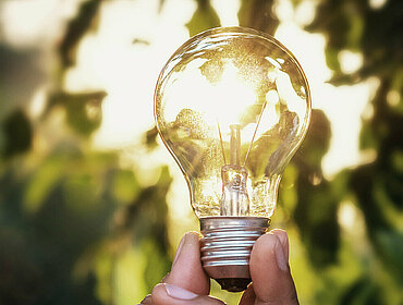 Hand hält Glühbirne; Natur