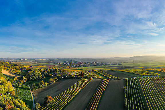 Landschaft im Weinviertel