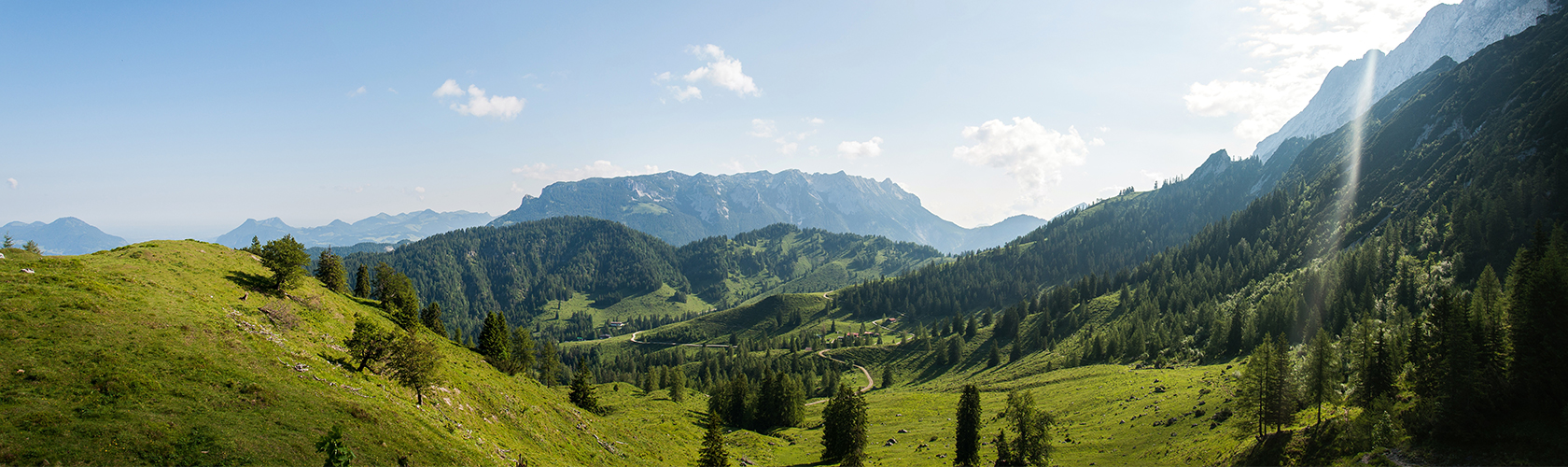 Bild im Seitenkopf