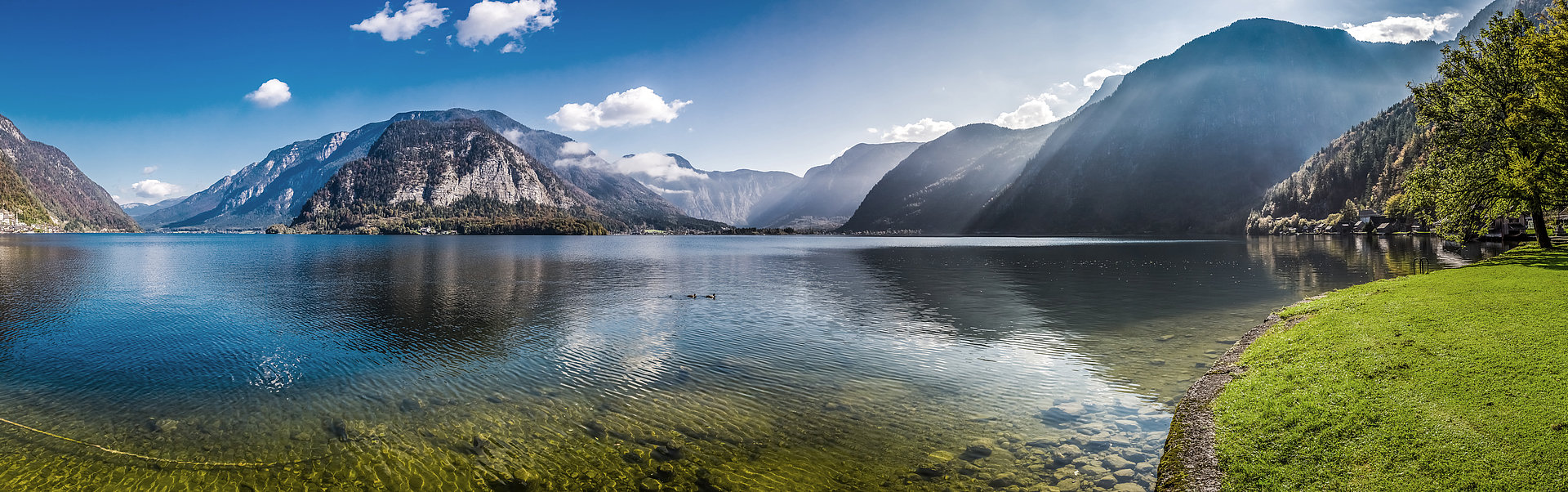 Bild im Seitenkopf
