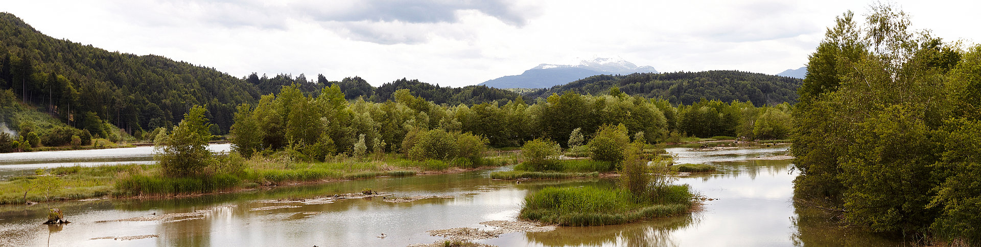 Bild im Seitenkopf